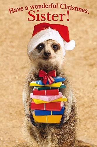 Emotional Rescue Sister Christmas Card, Cute Sister Christmas Cards, Christmas Card Sister