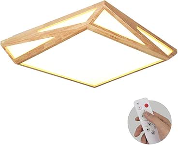 Geométrica Moderno Plafón Accesorio de, LED 48w Montaje empotrado