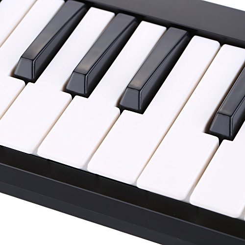 ammoon Worlde Easykey 25 Portable Keyboard Mini 25-Key USB MIDI Controller