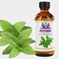 NaturEarth Indian Peppermint Oil 4 oz 100% Pure Premium Essential Oil w/FREE SHIPPING