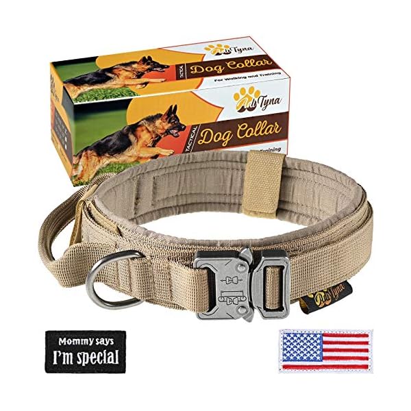 dog collar with handle