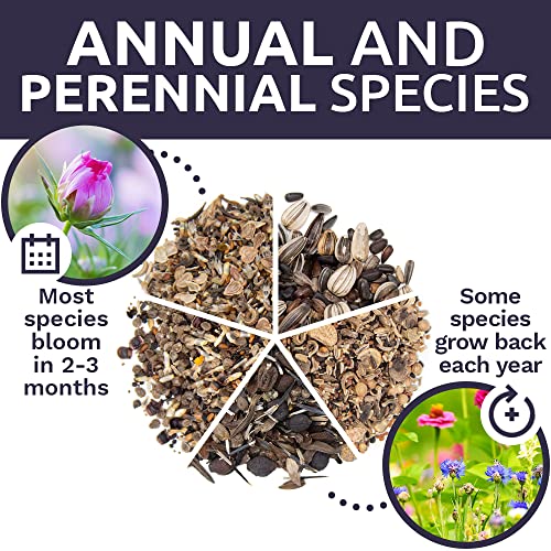 Bulk Wildflower Seeds Variety Pack 5 Large Packets 5 Different Mixes