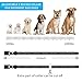 PATPET Dog Bark Collar Safe Shock Rechargeable Anti Stop Barking Collar with 7 Levels for Small to Large Dogs, Smart Chip Adjustable Dog Training Collar, No Pain – Safe, Anti-Bark Devicethumb 2