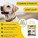 Premium 800mg Glucosamine for Dogs Hip & Joint Supplement - 120 Chewable Tabs with Glucosamine Chondroitin MSM Vitamins - Best Dog Joint Care - Aids Mobility - Made USA - 100% Guarantee