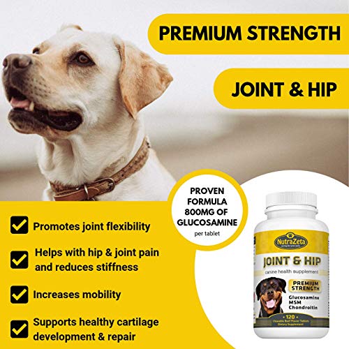 Premium 800mg Glucosamine for Dogs Hip & Joint Supplement 120