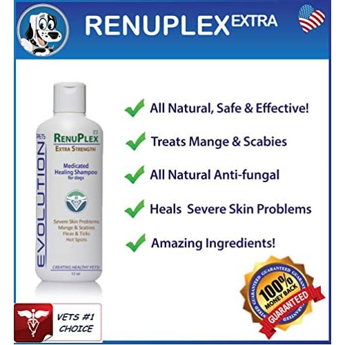 renuplex