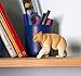 Safari Ltd. Kermode Bear – Realistic Hand Painted Toy Figurine Model – Quality Construction from Phthalate, Lead and BPA Free Materials – For Ages 3 and Up
