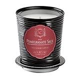 Aquiesse Fine Scented Portfolio Tin Candle - Pomegranate Sage 11oz