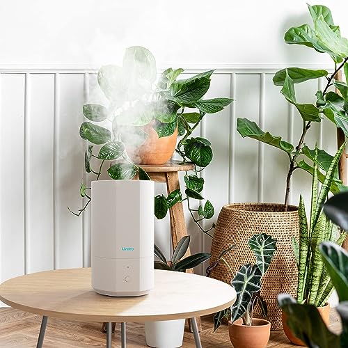 Livatro Humidifiers for Bedroom, 4L Top Fill Essential Oil Diffuser for