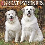 Just Great Pyrenees 2020 Wall Calendar (Dog Breed Calendar) by 