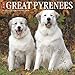 Just Great Pyrenees 2020 Wall Calendar (Dog Breed Calendar) by 