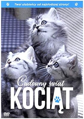 the secret life of kittens