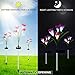 Loren Solar Lights Outdoor - New Upgraded Solar Garden Lights, Multi-Color Changing Lily Solar Flower Lights for Patio,Yard Decoration, Bigger Flower and Wider Solar Panel (2Pack)