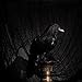 Halloween Black Feathered Crow Realistic Decorations Birds Figurine Statue Model (1PCS)