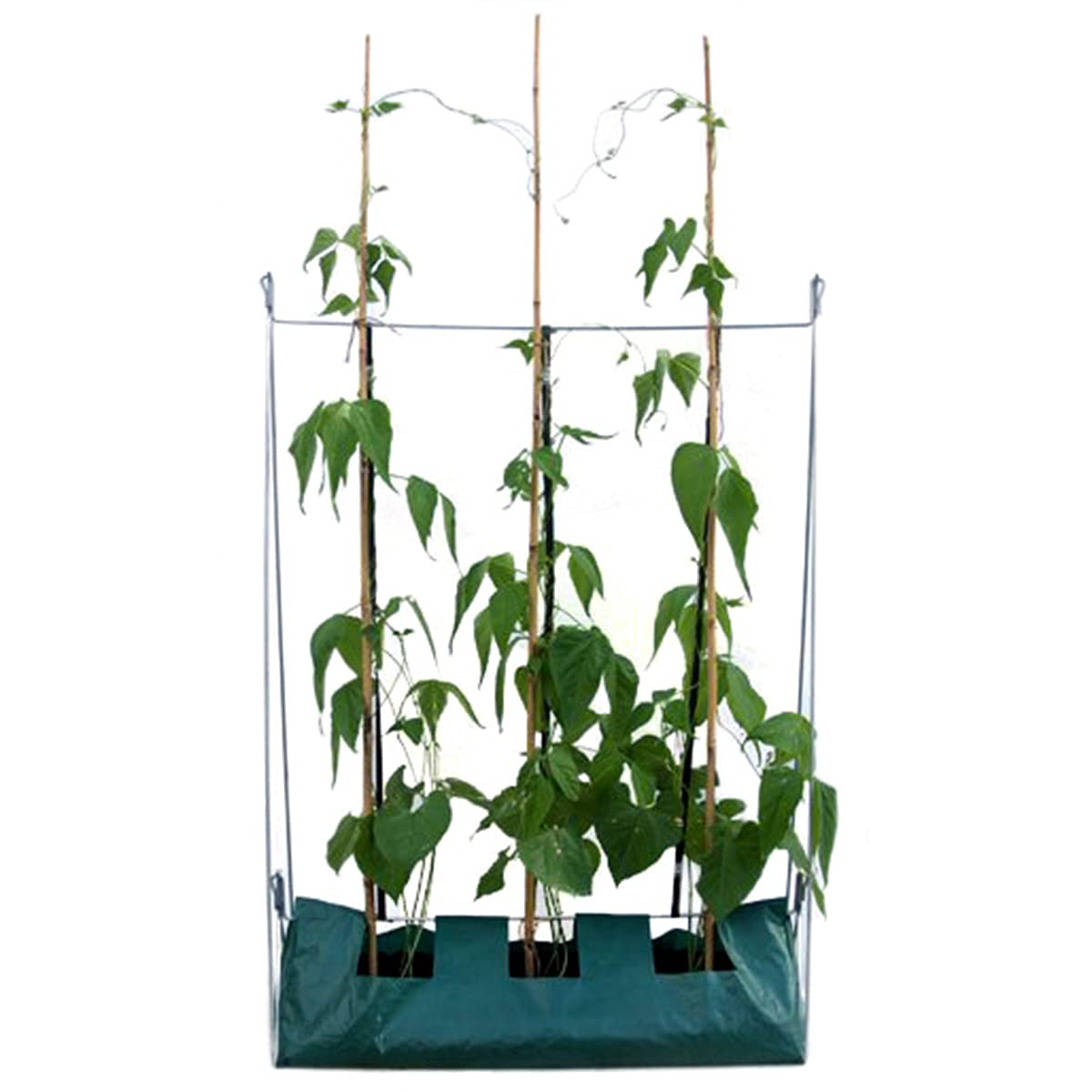 Large Growbag Frame Metal Design Grow Bag, Tomato, Peppers, Organic Growing 1.2 Metre