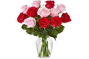 From You Flowers - One Dozen Red and Pink Roses with Glass Vase | Fresh Flower Bouquets for Birthday, Anniversary, Get Well or Celebration