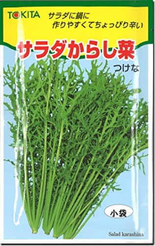 Amazon からし菜 種子 サラダからし菜 12ml 野菜