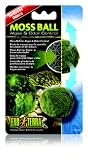 Exo Terra Exo Terra Moss Ball Clarity And Odour Control