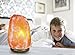 Bel Air Naturals Himalayan Salt Lamp - Hand Carved Natural Pink Hymilian Salt Rock Crystal Hymalain Salt Lamps - Premium Quality Genuine Wood Base - UL Listed Brightness (Himalayan Salt Lamp 7-9)