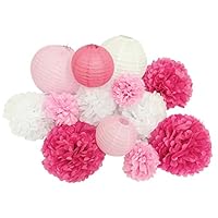 paper jazz 13pcs Decorative Paper pom pom Lantern Honeycomb Ball for Wedding Birthday Baby Shower Graduation Meeting Event Party Decoration(Pink White)