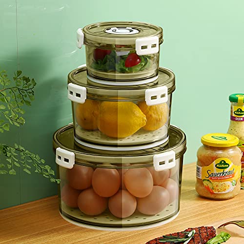 Fruit Storage Containers for Fridge, GONGQIN 3 Packs Fresh Vegetable Saver Sealed Box Containers With Drain Plate for Refrigerator Food Salad Lettuce Keeper BPA Free