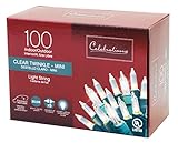 Celebrations Lighting V8224112 Twinkle Lights 100 Clear Bulbs length 20.5'