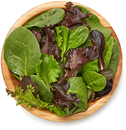 2 Organicgirl+Baby+Spring+Mix+Clamshell