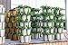 Greenstalk Huge 5 Tier Vertical Garden Planter with Patented Internal Watering System Great for Growing a Variety of Strawberries, Vegetables, Herbs, & Flowers (Chocolate Brown)
