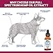 Happy Bruno 1000mg Hemp Oil for Dogs & Pets - Pain Relief, Arthritis, Hip and Joint, Seizures, Stress, Anxiety & Aggression - Calming, Organic, Natural, Dietary Supplement, Apply to Treats