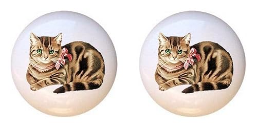 Amazon Com Set Of 2 Knobs Cat 012 Cats Decorative Glossy