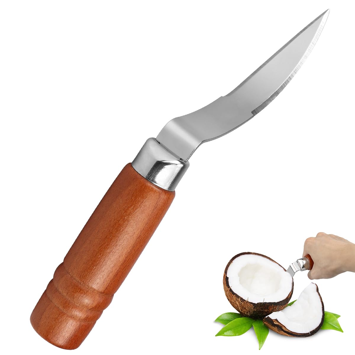 DOERDO Coconut Tool Coconut Meat Remover Stainless Steel Coconut Opener Scraper for Kitchen Home, 9X1.1 Inch