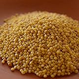 Ikshvaku Organics Proso Millet | Chena | Broomcorn | Natural Indian Farm Products from Karnataka | ONE Pack