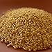 Ikshvaku Organics Proso Millet | Chena | Broomcorn | Natural Indian Farm Products from Karnataka | ONE Pack