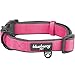 Blueberry Pet 2 Colors Soft & Comfy Made Well Classic Neoprene Padded Adjustable Dog Collar, Muted Red-Violet, Medium, Neck 14.5