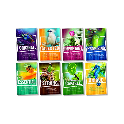 North Star Teacher Resource Encouragement Bulletin Board Set