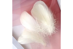 FEATUMAN 100 Pieces Beige Natural Goose Craft Feathers Bulk, 3-5Inch Colorful Small Feathers for Holloween Costumes Thanksgiving Mask Arts Crafts Projects Home Decoration