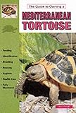 Mediterranean Tortoises by 
