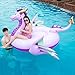 JOYIN Giant Inflatable Majestic Dragon Pool Float, Fun Beach Floaties, Swim Party Toys, Inflatable Island, Summer Pool Raft Lounge for Adults & Kids