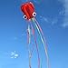 Hengda Kite-Pack 2 Colors Beautiful Large Easy Flyer Kite for Kids-Software Octopus-It's Big! 31 Inches Wide with Long Tail 157 Inches Long-Perfect for Beach or Park by Hengda kite