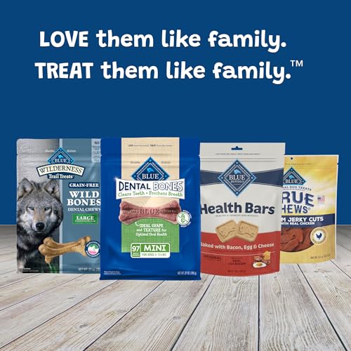 Blue Buffalo Dental Bones Mini Natural Dental Chew Dog Treats Bag