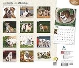 Image de Bulldogs, For the Love of 2016 Deluxe