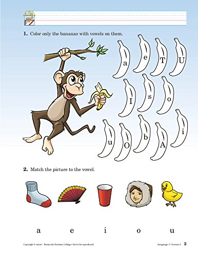 Language 1
