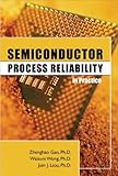 Semiconductor Process Reliability in Practice by Zhenghao Gan, Waisum Wong