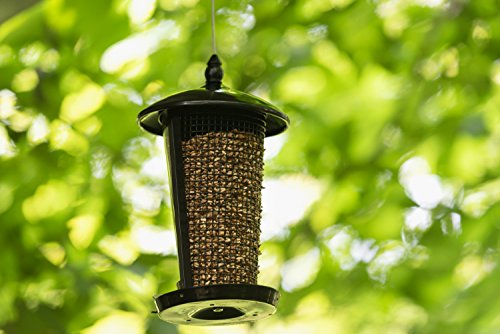 MEKKAPRO Dual Outdoor Hanging Wild Bird Seed Feeder, Weather-Proof, Birds in Your Backyard - Thumbnail 5