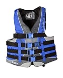 Body Glove Men's US Coast Guard Approved Type III Torque 2 Nylon PFD Life Vest (Black/Royal, Medium)