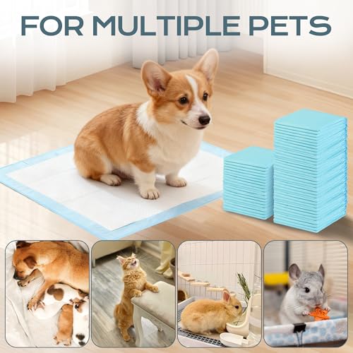 Chumix Pack of 100 Dog Pads 60 x 60 cm, Dog Pads for Puppy Pads at Home, Design of 6 Layers Anti-Leak, Training Wipes for Puppies, Older Dogs (100 Pieces, 60 x 60 cm)
