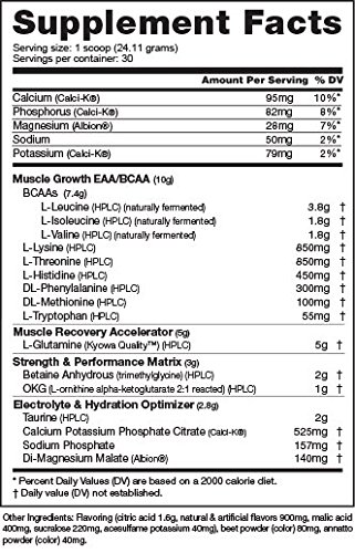 Nutrabio Intra Blast - 30 Servings Sweet Tea
