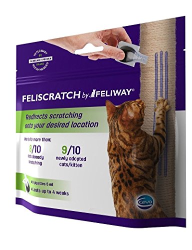 feliscratch amazon