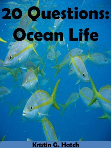 20 Questions Ocean Life An Interactive Kids Quiz Kindle Book - 