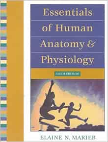 Amazon.com: Essentials of Human Anatomy and Physiology (9780201586770